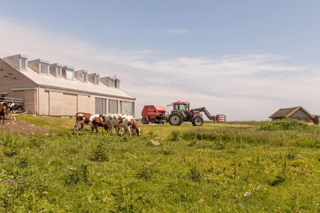 The Longhouse At Lista Apartment Фарсунд Екстериор снимка